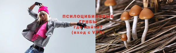 MESCALINE Нефтекумск