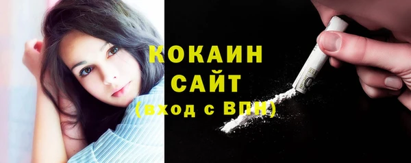СК Новозыбков