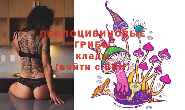 MDMA Новодвинск