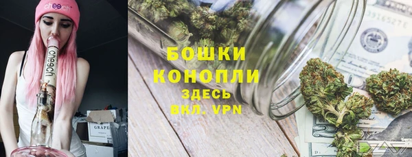 ПСИЛОЦИБИНОВЫЕ ГРИБЫ Нефтегорск
