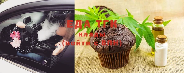 СК Новозыбков