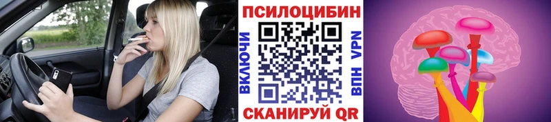 Галлюциногенные грибы мицелий  Берёзовка 